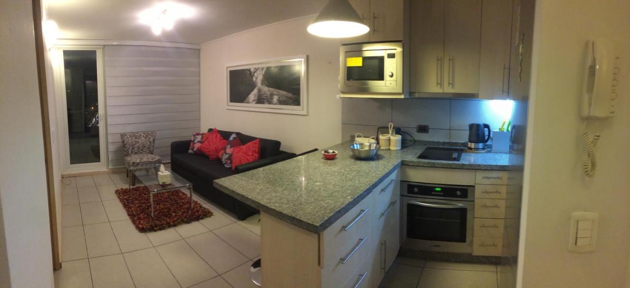 Apartament Departamento De Lujo 1 En Barrio Bellavista Santiago de Chile Zewnętrze zdjęcie